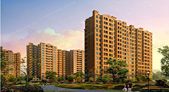 金亨木業(yè)建筑模板--中信地產(chǎn)中信新城X1-3項目